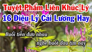 Karaoke Tuyệt Phẩm 16 Điệu Lý Cải Lương Nam Bộ Hay Nhất 2024 [upl. by Adian676]