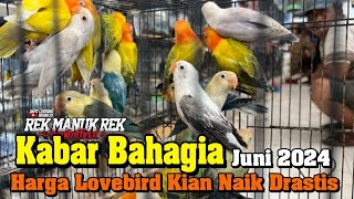 UPDATE HARGA BURUNG LOVEBIRD TERBARU 2024 DI JUNI 2024  HARGA NAIK DERASTIS [upl. by Jahdai790]