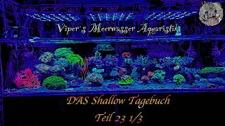 DAS Shallowtagebuch Teil 23 13 [upl. by Anec167]