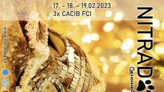 FCI  CACIB dog show in NITRA Slovakia 18th Feb 2023 [upl. by Ecnedurp]