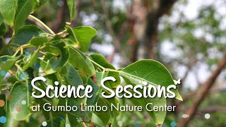 Gumbo Limbo Science Sessions Third Grade Classifying Plants [upl. by Ylen]