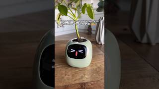 LINK IN BIO 🎅🪴 planter plants cuteplanter plantlover viral [upl. by Derte]