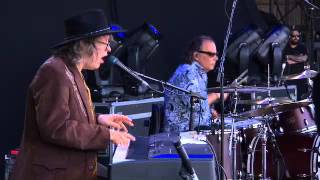 The Waterboys  The Whole of the Moon  Live at the Isle of Wight Festival 2014 [upl. by Ahsemac648]