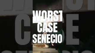 WORST CASE SENECIO [upl. by Ibbor]