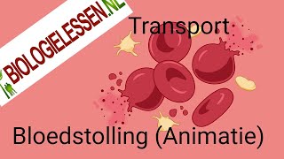 Bloedstolling [upl. by Sioled]