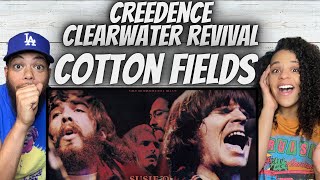 FIRST TIME HEARING CREEDENCE CLEARWATER REVIVAL  Cotton Fields REACTION [upl. by Gerianna]