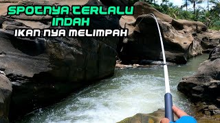 Mancing di sungai pegunungan wonosobo  Spotnya terlalu indah ikan melimpah micro fishing [upl. by Gnol]