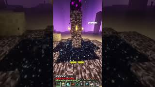 gaming funny minecraft Risible twins [upl. by Agosto]