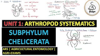 Unit 1 Arthropod Systematics  SUBPHYLUM CHELICERATA  Agricultural Entomology  Video 6 [upl. by Lavicrep]