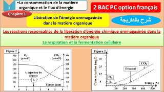 les réactions responsables de la libération dénergie emmagasinée dans la matière organique partie 1 [upl. by Kipp]