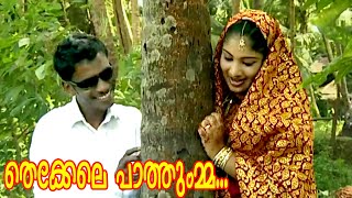 തെക്കേലെ പാത്തുമ്മ  Malayalam Mappila Songs  Malayalam Album Songs 2015 HD [upl. by Tootsie]