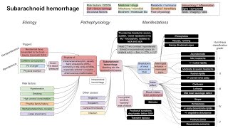 Subarachnoid hemorrhage mechanism of disease [upl. by Shamma]