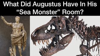 What was in Augustus Sea Monster Room [upl. by Amaerd]