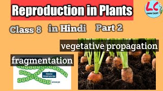 Reproduction in Plants  Part 2  in Hindi [upl. by Abijah]