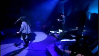 Caifanes  Será Por Eso En Vivo 1989Remasterizado HD [upl. by Ahsoem]