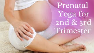 Prenatal Yoga for 2nd amp 3 rd Trimester of Pregnancy [upl. by Erehc288]