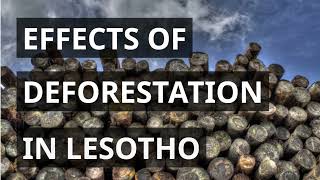 CAUSES AND EFFECTS OF DEFORESTATION IN LESOTHO [upl. by Buxton]