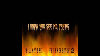 Liljayydoe  Fly freestyle 2 Official Audio [upl. by Issirk]