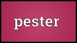 Pester Meaning [upl. by Elephus]