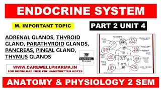 Unit 4  Adrenal Gland  Thyroid Gland  Parathyroid Gland  Pancreas  Pineal  Thymus  Part 2 [upl. by Anar800]