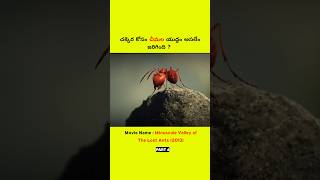 Part 6 చక్కర కోసం చీమల యుద్ధం  shorts youtubeshorts [upl. by Tempa]