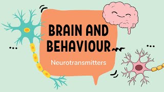 IB Psychology – Neurotransmission and Neurotransmitters [upl. by Dewey]