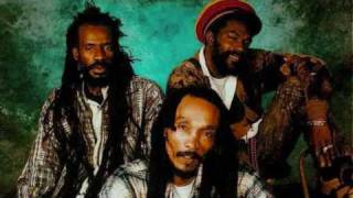 Israel Vibration  There is no end  Live [upl. by Orsola]