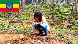 Ethiopia Addis Ababa Entoto Park  great views and trails through the forest [upl. by Alvita]