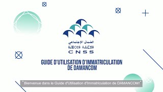 Nouveau DAMANCOM  Guide d’Utilisation d’Immatriculation [upl. by Eninej807]