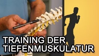 Training der Tiefenmuskulatur für einen starken Rücken [upl. by Alurta110]