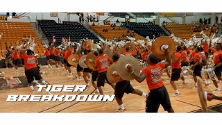 GSU Tiger Band Breakdown  2022 Fan Day Pep Rally  Grambling State University [upl. by Aimee]