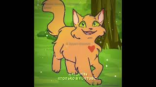 Всё будет хорошоwarrior cats editBluestar and Firepaw Thistleclaw and Tigerpawedit warriorcats [upl. by Ramsden]