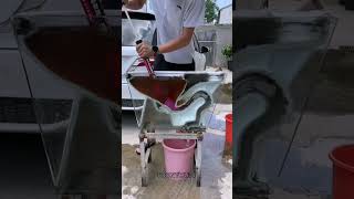 Toilet Cleaner 😱NewViralGadgetsSmartAppliancesKitchenUtensilsHomeInventions [upl. by Nilrev]