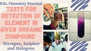 Chemistry PracticalTests for Detection of ElementNitrogenSulphur amp Halogens in Organic compound [upl. by Espy]