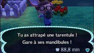 COMMENT ATTRAPER DES TARENTULES SCORPIONS DANS ACNL quelle heureetc [upl. by Idzik]