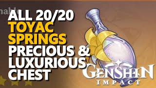 All 100 Toyac Springs Luxurious Chest and Precious Chest Genshin Impact [upl. by Nedap928]