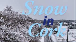 Winter comes to Cork [upl. by Oirom]