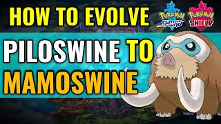 How to evolve Piloswine to Mamoswine in Pokemon Sword and Shield [upl. by Cari]