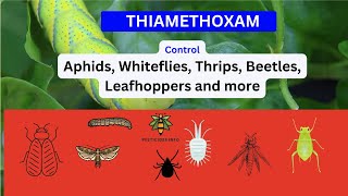 Exploring Thiamethoxam Uses Mode of Action and Environmental Considerations [upl. by Nodlehs]