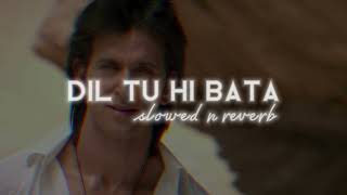 Dil Tu Hi Bata SlowAndReveb Krrish 3 l Hrithik Roshan Alisha Chinai l Zubben Garag l love song [upl. by Gerta]