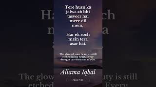 ALLAMA IQBAL POETRY [upl. by Weibel324]