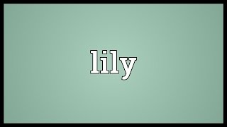 Lily Meaning [upl. by Gillette]