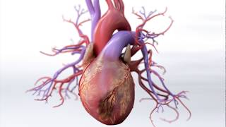 What is Coronary Artery Disease  Mechanism of Disease [upl. by Leesa]