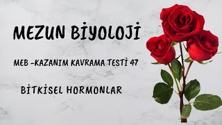 47 MEZUN BÄ°YOLOJÄ° MEB KAZANIM KAVRAMA TESTÄ° 47 Bitkisel Hormonlar [upl. by Zweig80]