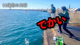 「 クーラー二つ、満タン 」 大量にデカアジが釣れたと聞いて、翌日海に向かうと【閲覧注意】の出来事が・・・どう対応すれば・・・・ 直江津港第３堤防（ハッピーフィッシング [upl. by Seed]