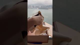 Louis Vuitton Nano Speedy Bag Unboxing [upl. by Ahseel]