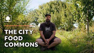 Public Park Transformed into an Urban Food Forest [upl. by Htes325]