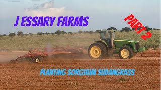 Planting Sorghum Sudangrass Part 2 [upl. by Teece]