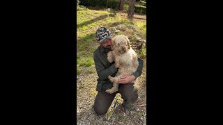 Unearth Tuscanys Finest Truffles with a Truffle Hunting Dog 🐶 [upl. by Winshell]