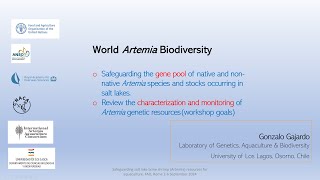 World Artemia biodiversity  Safeguarding Artemia resources [upl. by Sension]